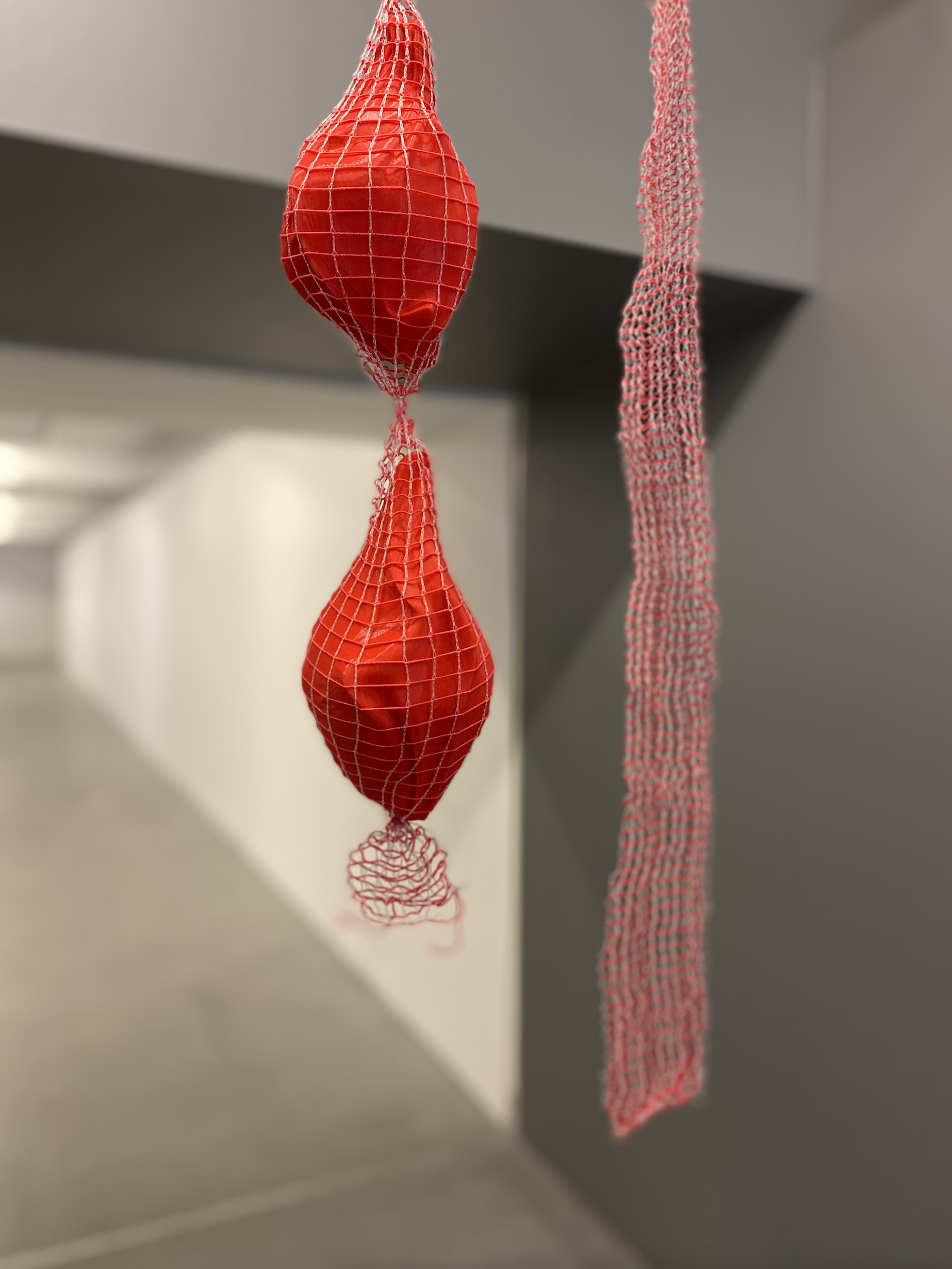 Within Cells Intertwined, 3D printed philament sculpture, meat net